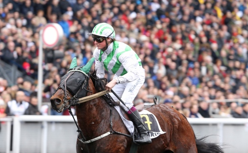 Bilibili tillsammans med Pierre Levesque. Alexandre Abrivard rider hästen på söndag. Foto: Mia Törnberg, TR Bild Foto av Mia Törnberg, TR Bild